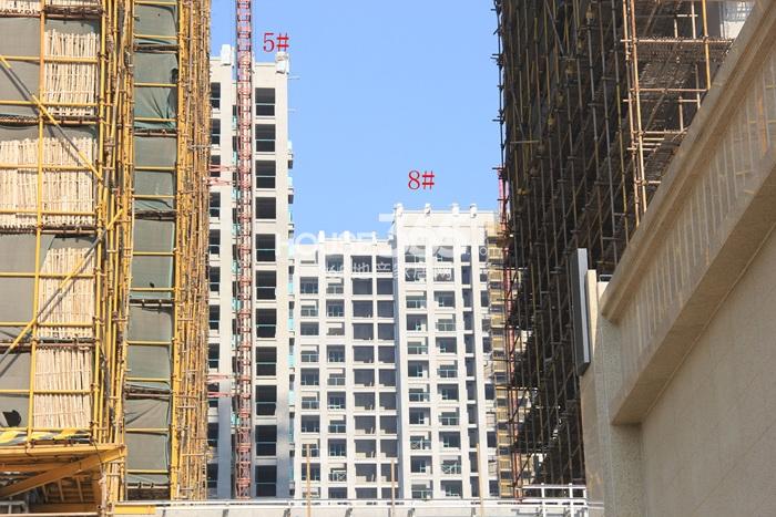 2014年12月下旬玲珑府项目实景--5、8号楼
