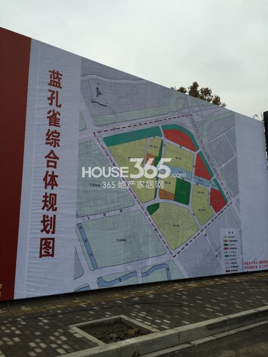  2015年1月花园道壹号项目所在版块蓝孔雀综合体规划图