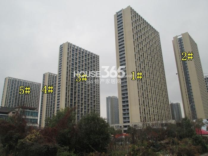 2015年1月下旬玲珑府项目实景--1-5号楼