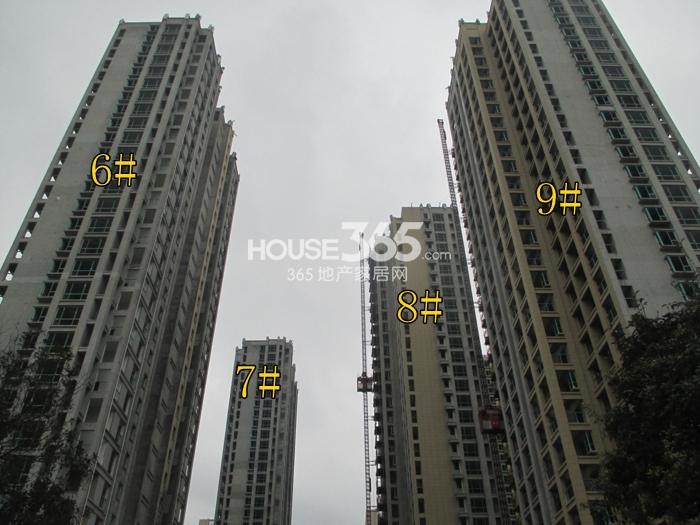 2015年1月下旬玲珑府项目实景--6-9号楼