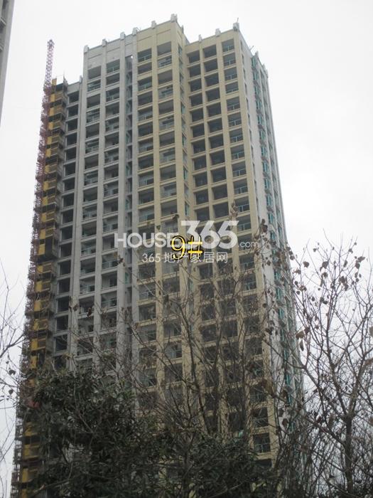 2015年1月下旬玲珑府项目实景--9号楼