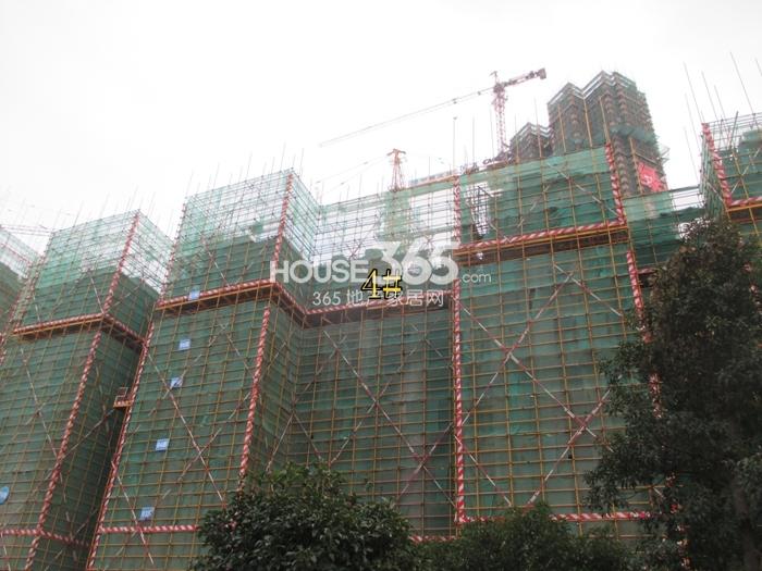 2015年1月份绿地旭辉城项目实景--4号楼