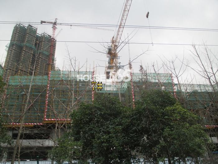 2015年1月份绿地旭辉城项目实景--7号楼