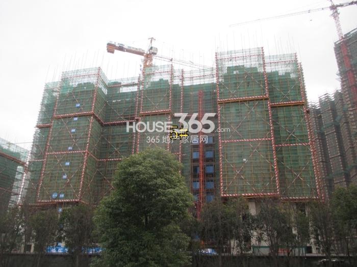 2015年1月份绿地旭辉城项目实景--5号楼