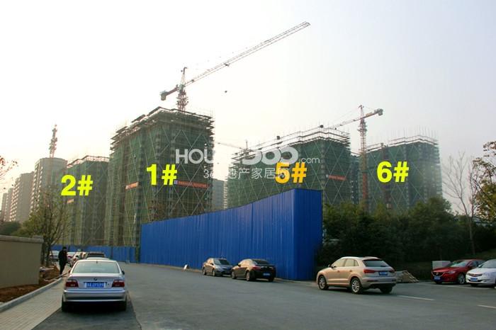 西溪海D组团1、2、5、6号楼施工进程（2015.1）