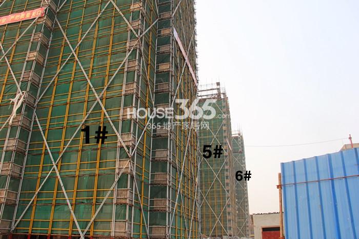西溪海D组团1、5、6号楼施工进程（2015.1）