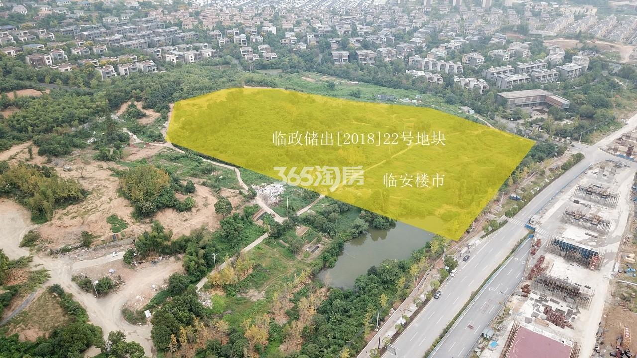 临政储出[2018]22号地块航拍图