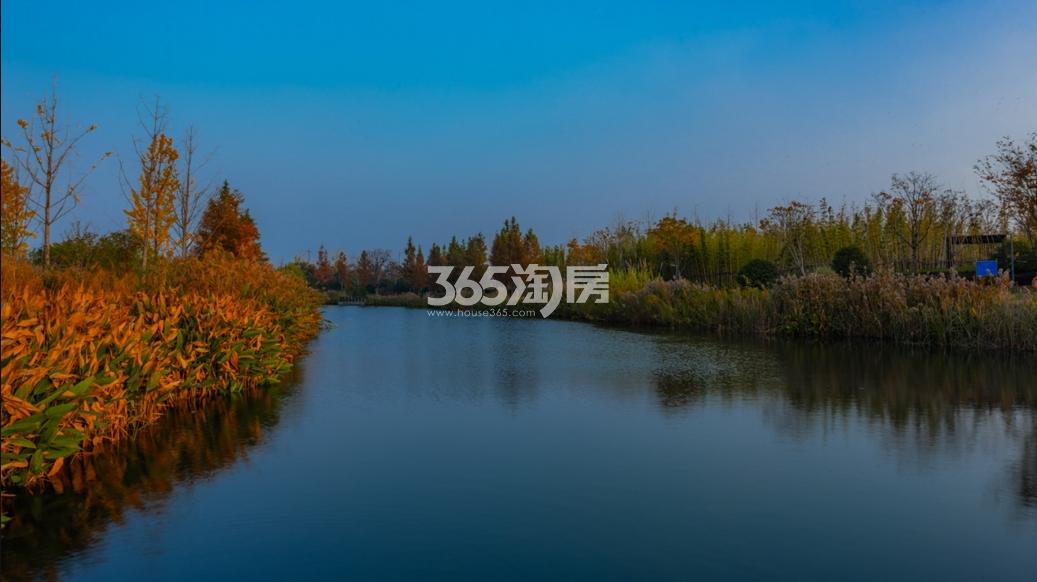 翡丽云邸周边东湖绿道