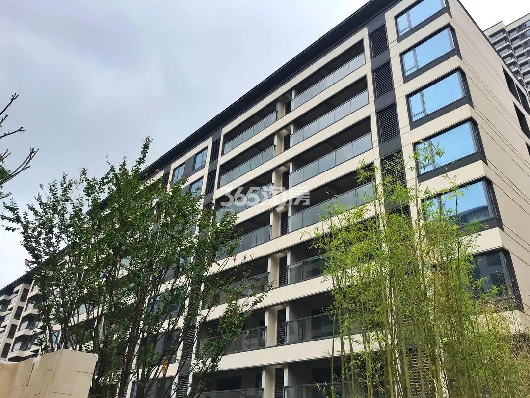 晓春城（都会钱塘东区）实景图（2019.09）