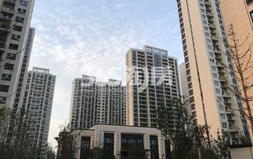 荷岸晓风（花园）小区群楼实景图