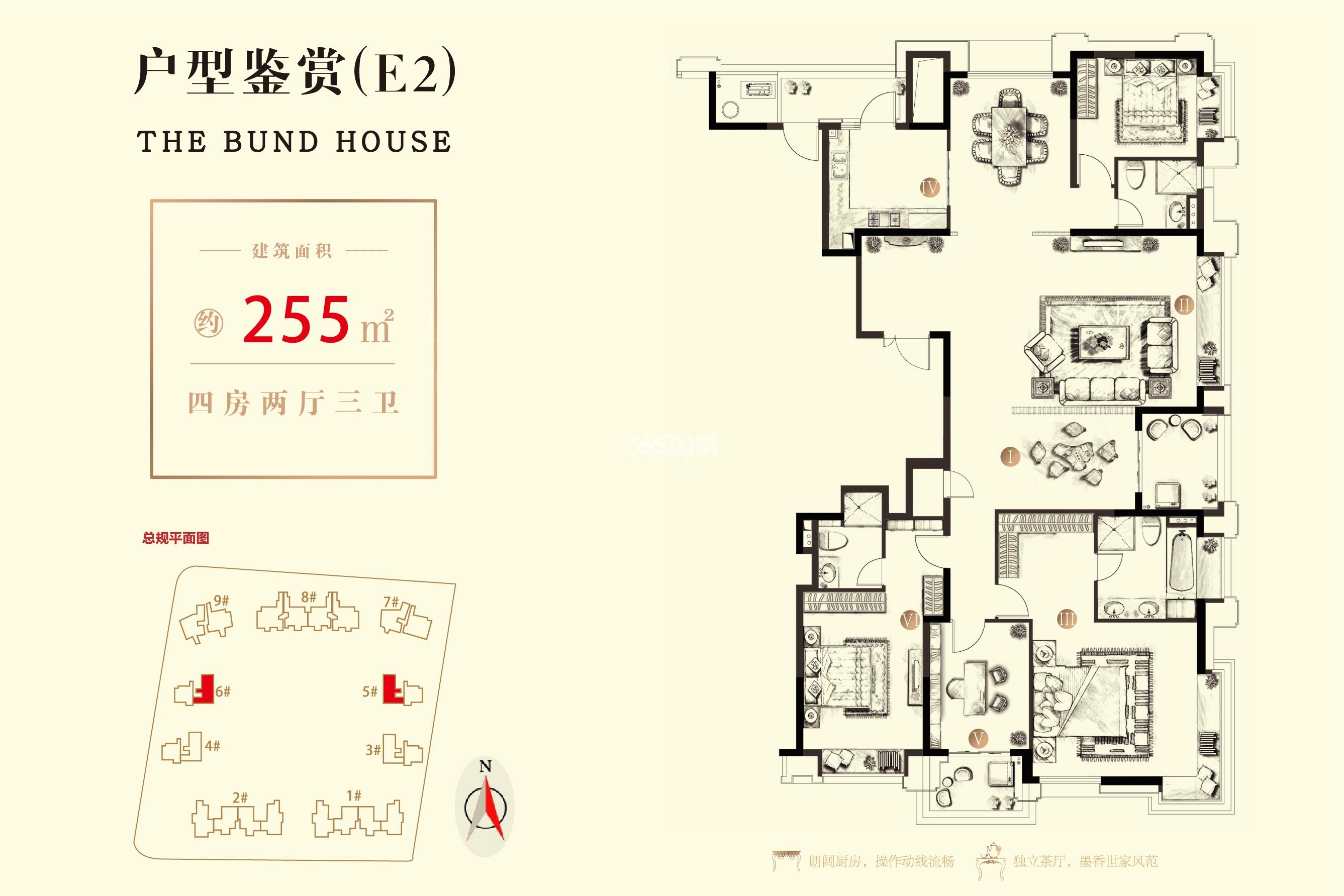 国玺悦龙府255方户型图5、6#