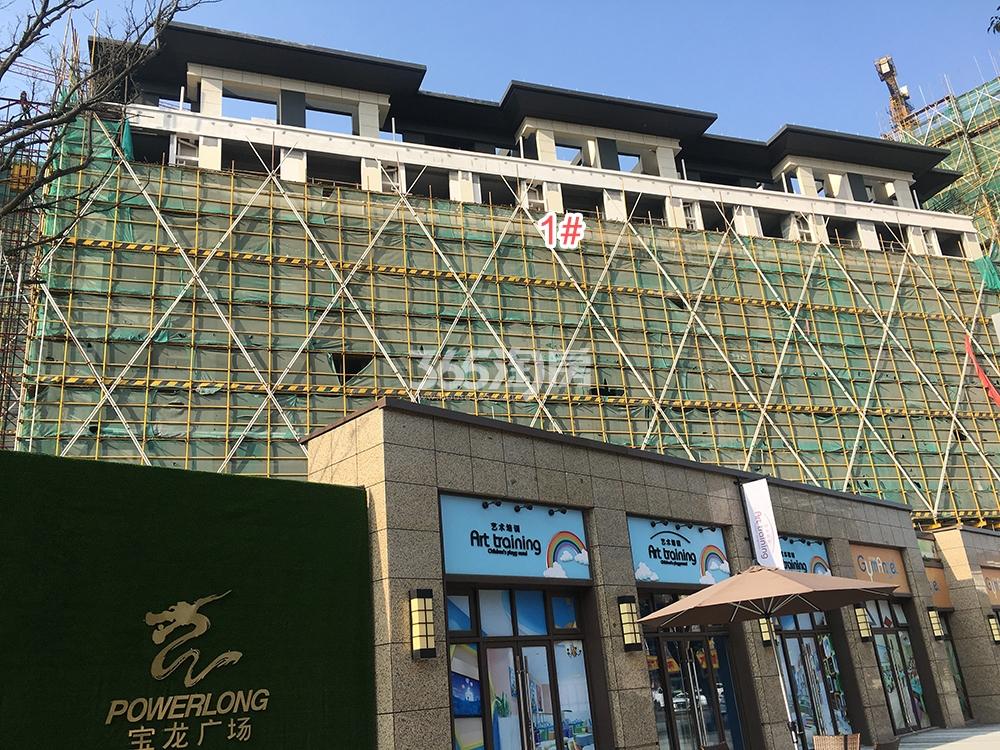 龙沁城工程进展（2019.03）