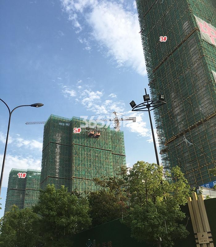 中南樾府3、5、11号楼施工进程（2018.9）