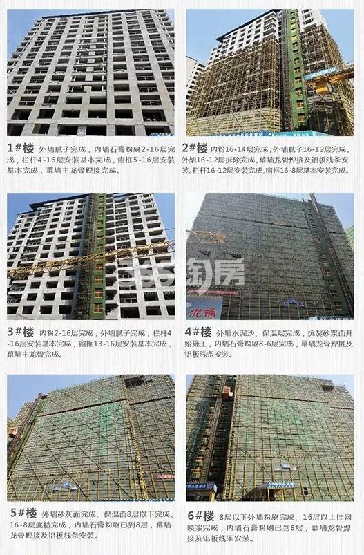 金地玖峯汇工程进展（2019.05）