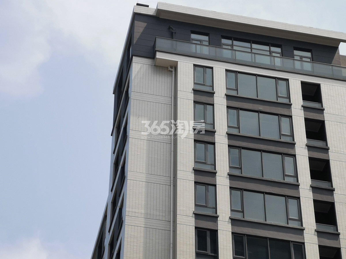 卓越蔚蓝领秀交付实景（2019.8）
