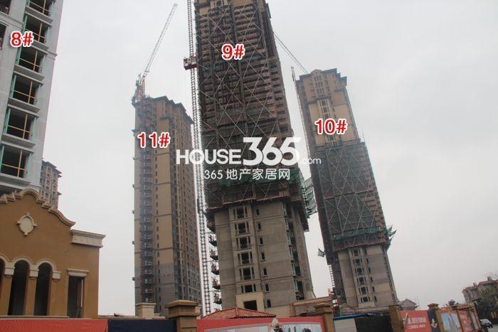 东海闲湖城印象加州8—11号楼施工进程（2015.3）