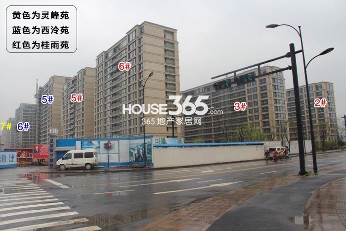 翡翠城西泠苑、灵峰苑、桂雨苑施工进程图（2015.3）