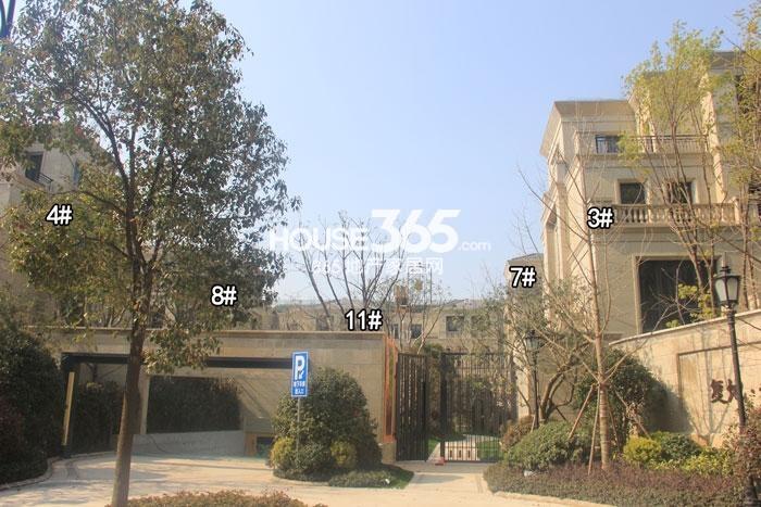 复地黄龙和山3、4、7、8、11号楼施工进程（2015.3）