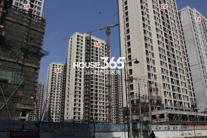 保亿风景晨园项目1、2、3、5、8号楼施工进程（2015.4）