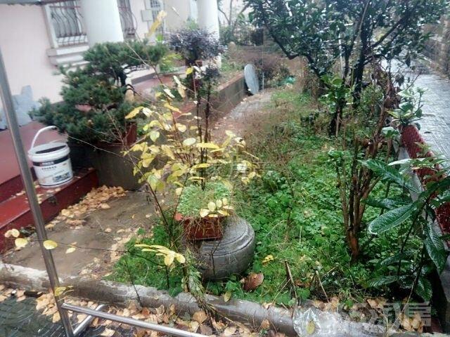【镜湖区泰华园、这样的独栋别墅再也找不出第别墅通透房间不?图片