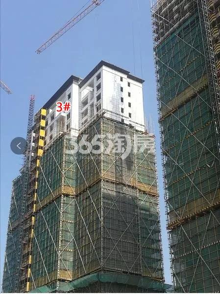 禹洲滨之江南区3号楼实景图（2018.6）