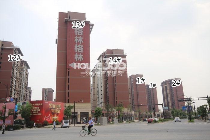 金地格林格林1-3、12-14号楼施工实景图 2015年9月摄 