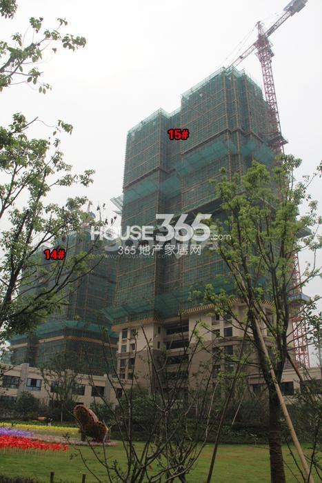 雅居乐国际花园14、15号楼施工进程图（2015.9）
