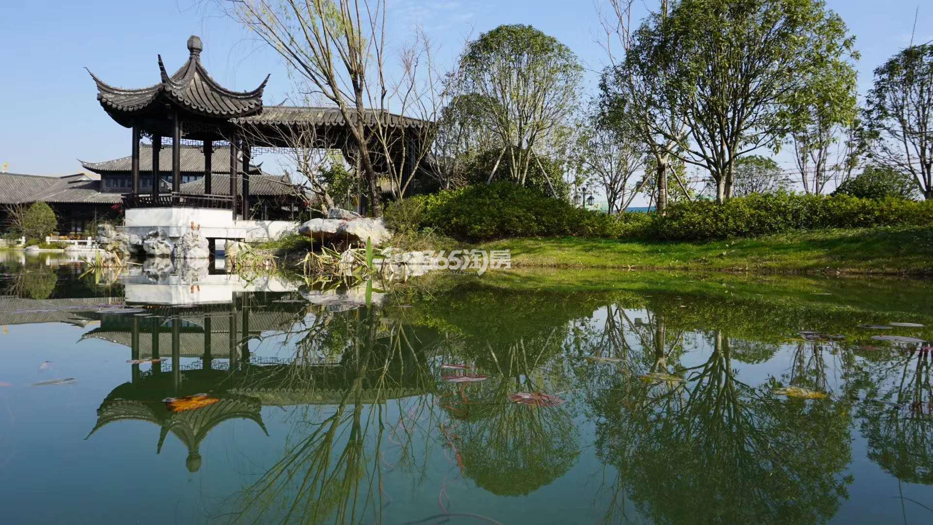 青云山居青云山居桃李春风实景（2019.05）