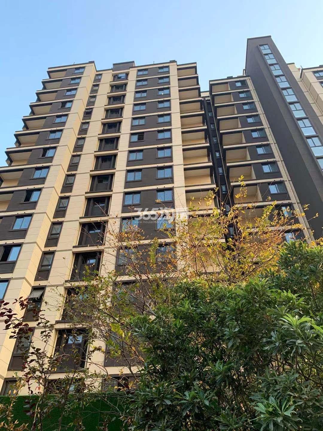 银城颐居悦见山2号楼实景图（1.15）_南京银城颐居悦见山_南京新房网_365淘房