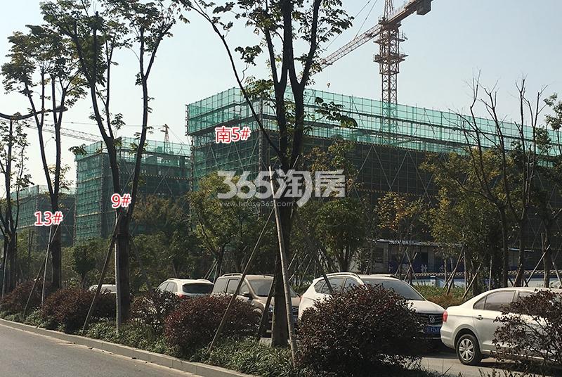 禹洲滨之江南区5、9、13号楼实景（2017.11）