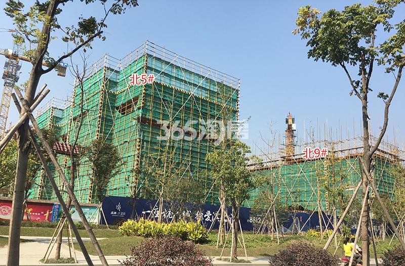 禹洲滨之江北区5、9号楼实景（2017.11）