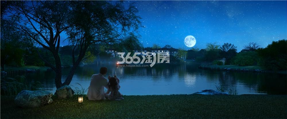 瑞城熙园夜景效果图