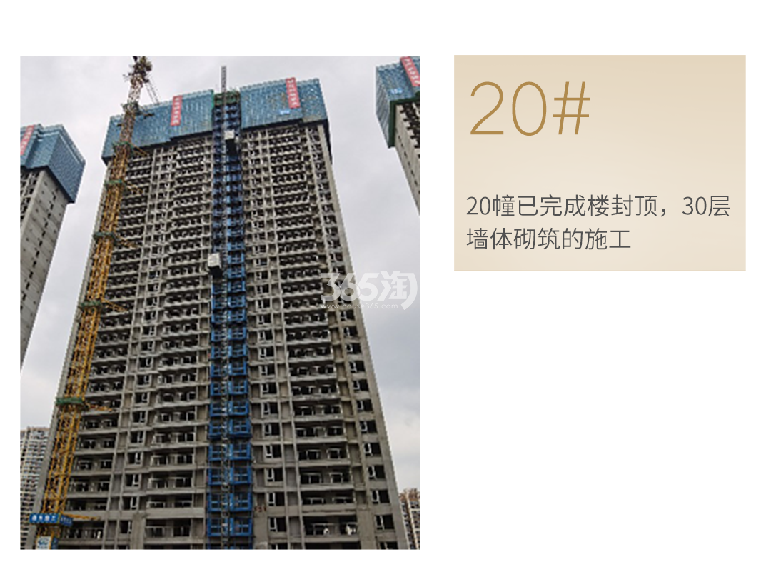 蔚宸悦城工程进度
