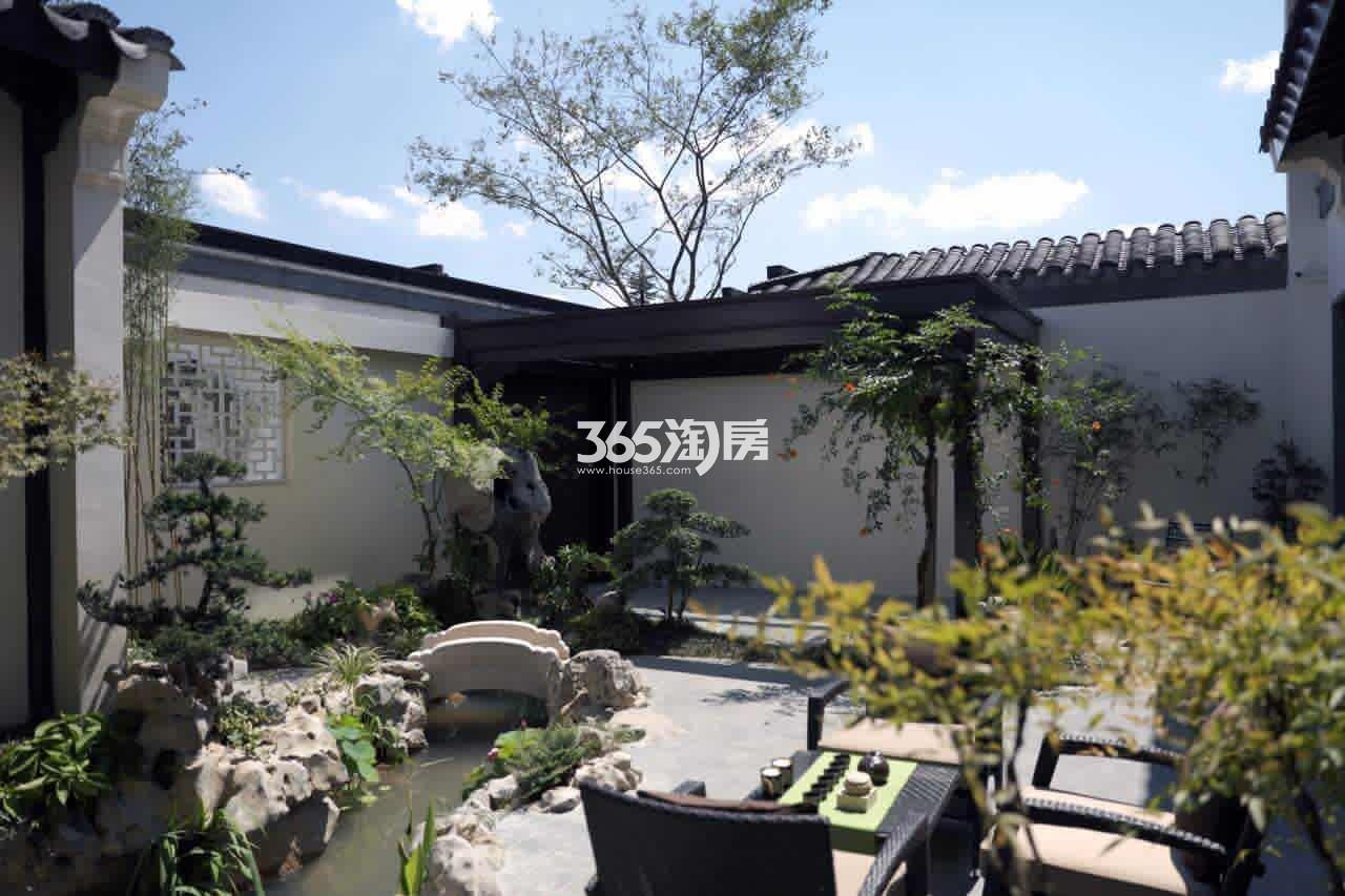2016年7月十里风荷实景样板房
