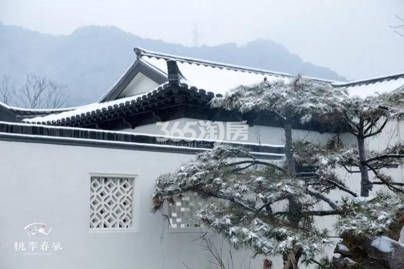 青云山居青云山居桃李春风园区实景图 2018年1月摄