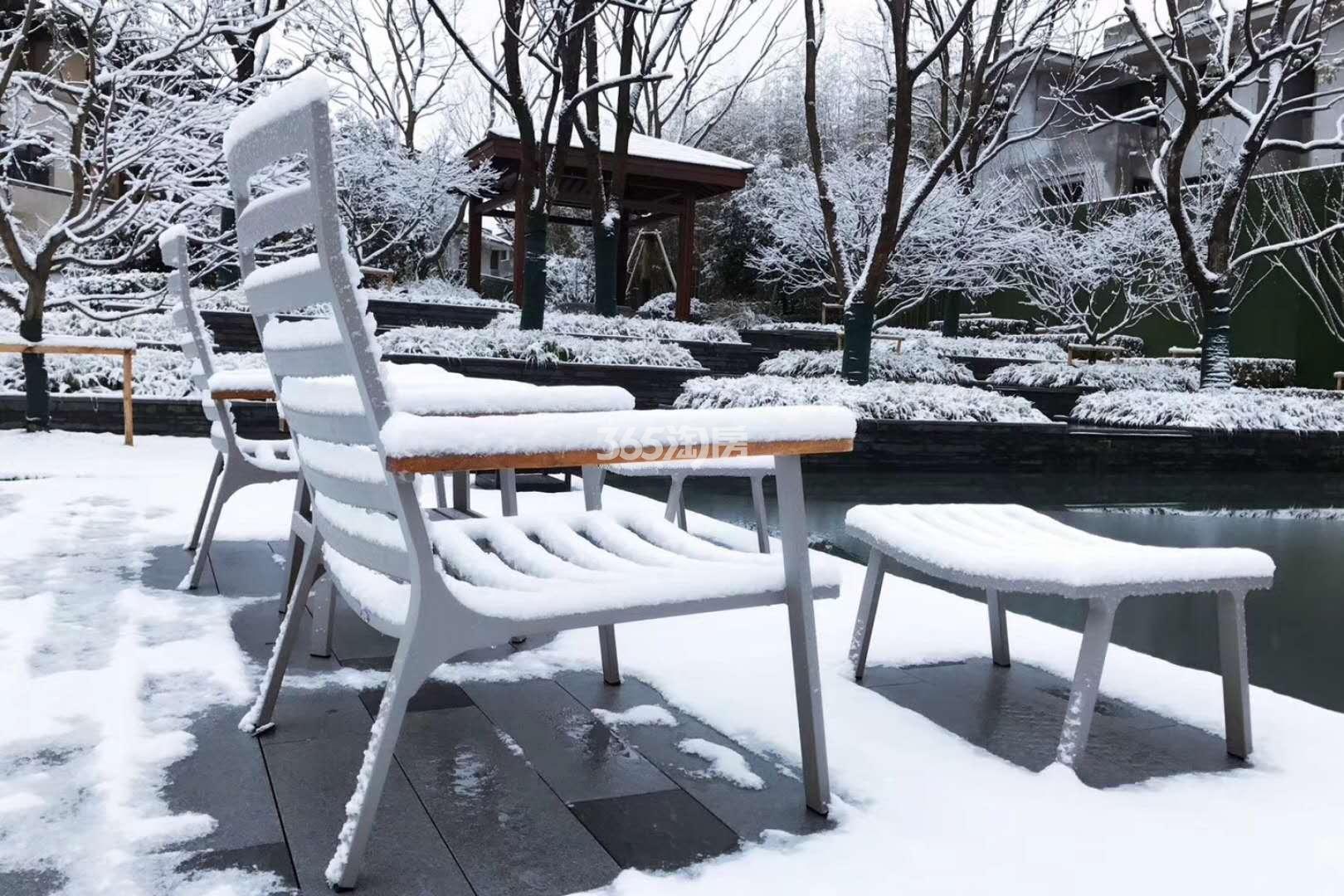 君望花苑雪景实景图 2018年1月摄