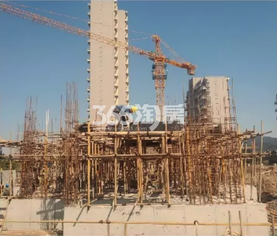 2019年4月秋实宸悦7号楼施工实景
