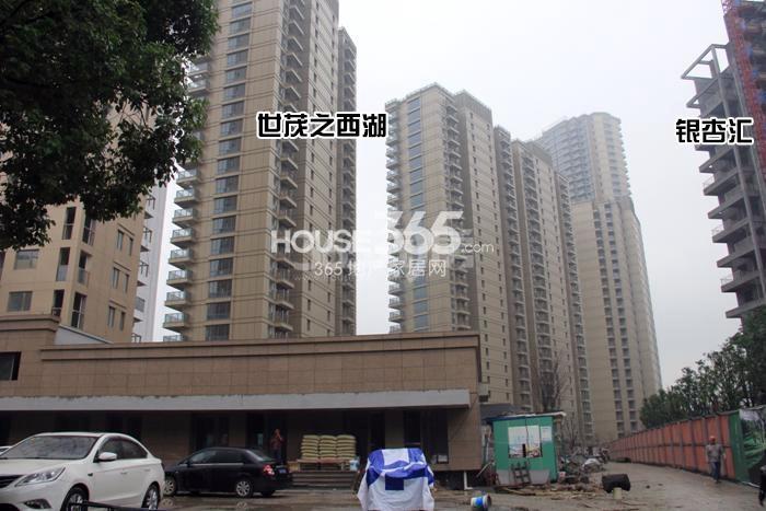 2015年11月世茂之西湖项目及周边楼盘实景
