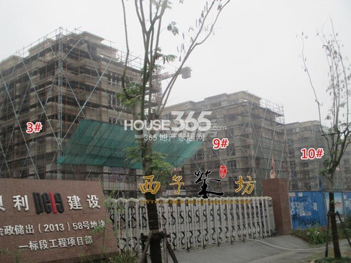 朗诗花漫里项目3、9、10号楼实景图（2015.11）