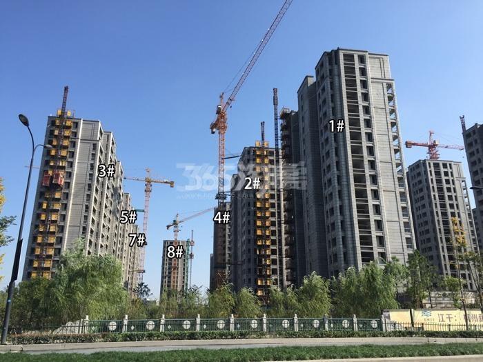 德信大家钱江府1-5、7、8号楼施工进度实景图 2015.11摄