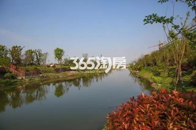 北大资源未名府周边河景实景图（2017.6）