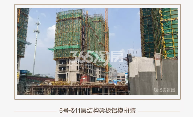 中天卓越风荷锦庭5#施工实景图（2019.8摄）