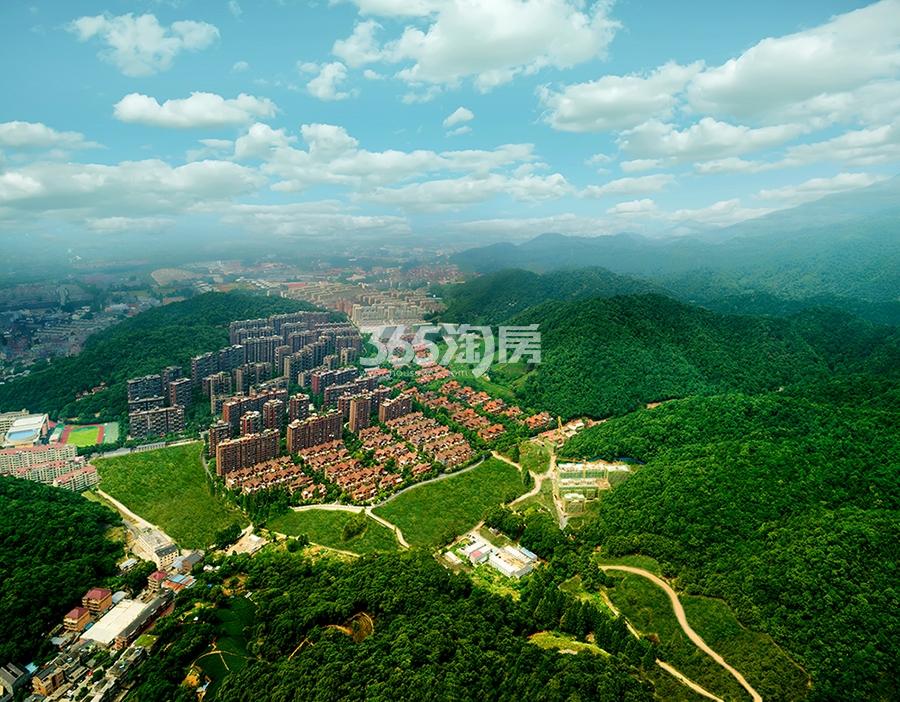 和家园项目大盘航拍实景图