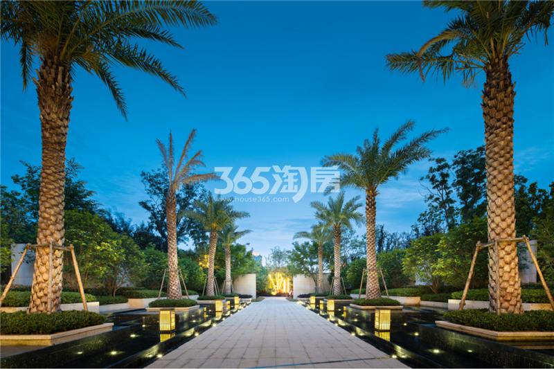 示范区