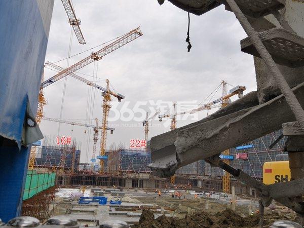 天鹅港华庭16、21#低密度多层在建实景（3.13）