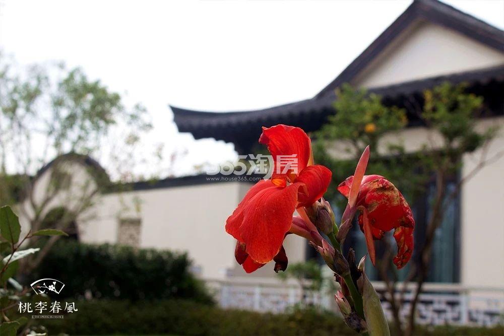青云山居青云山居桃李春风小镇秋色