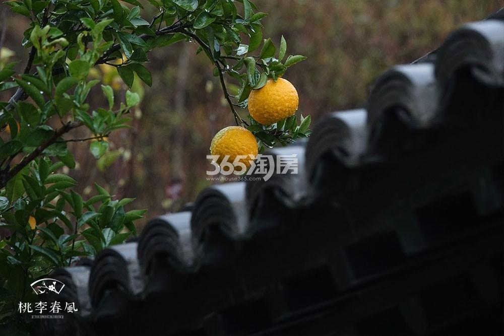 青云山居青云山居桃李春风小镇秋色