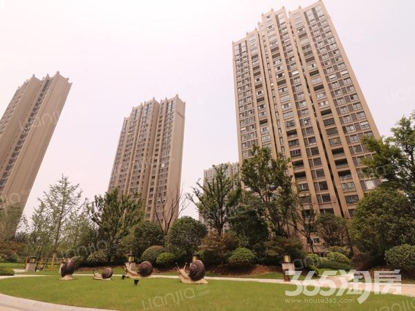 【全新小区弘阳品牌物业楼层采光很好_南京浦