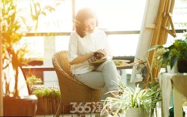 (碧桂园公园雅筑 365淘房 资讯中心)