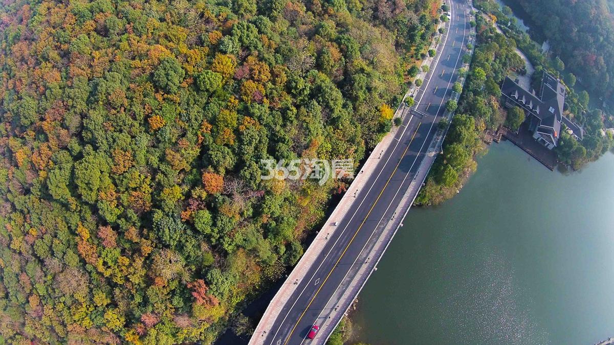 首开望宸周边的半山国家森林公园实景